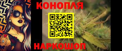 гидра Лесосибирск